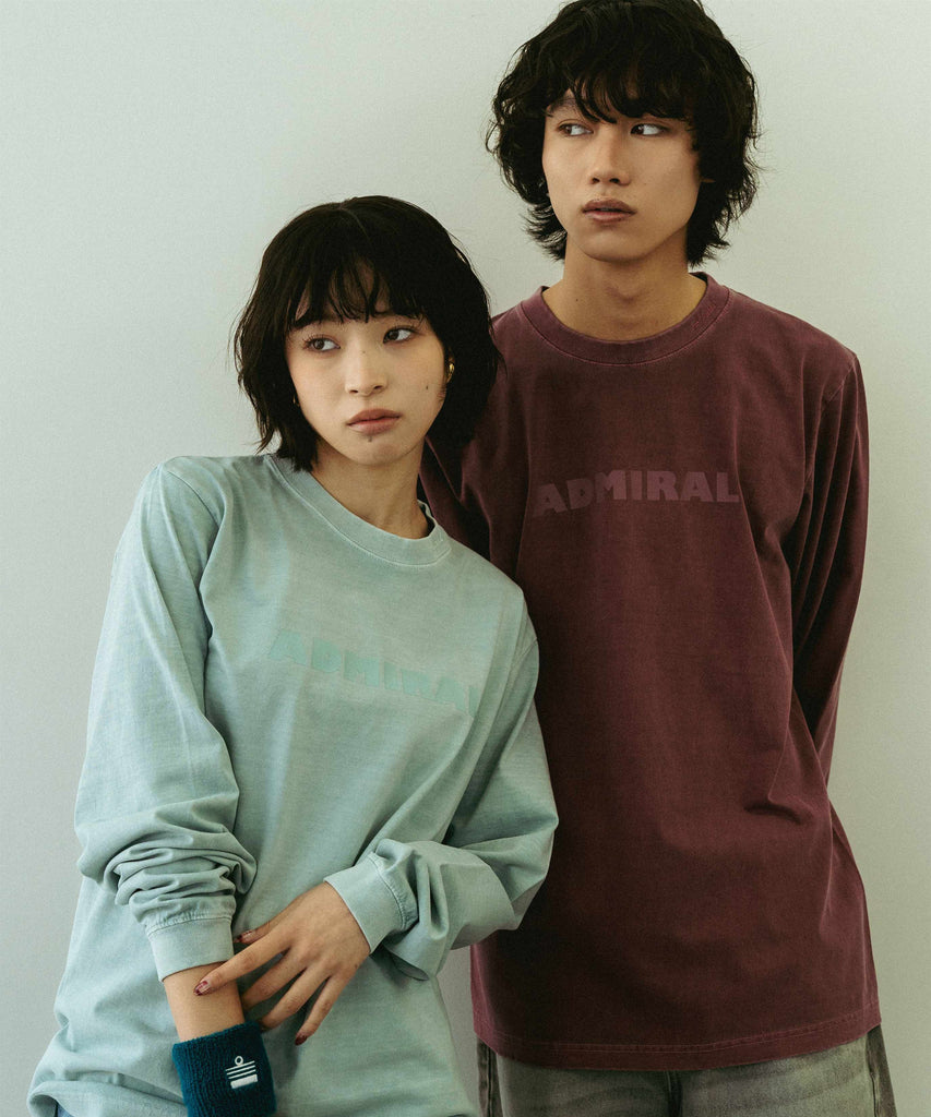 PIGMENT LS T ANUN607