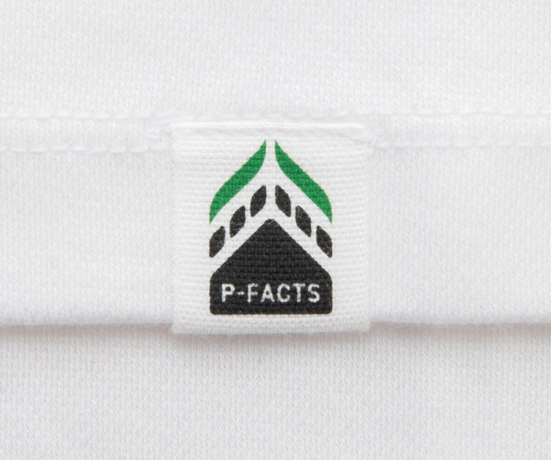 オリジナルピスネーム P-FACTS